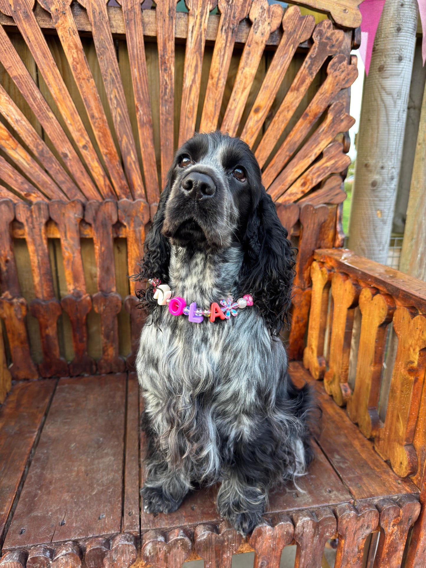 CUSTOM NAME BEADED COLLAR