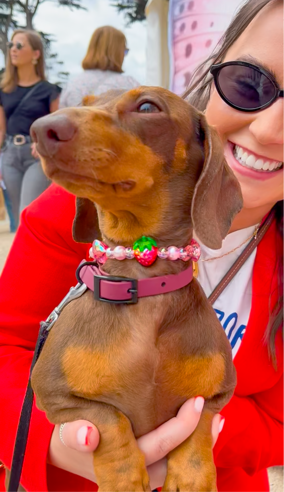 DORA’S COLLAR 14 inches